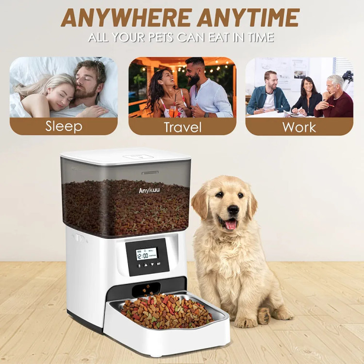 pet automatic feeder