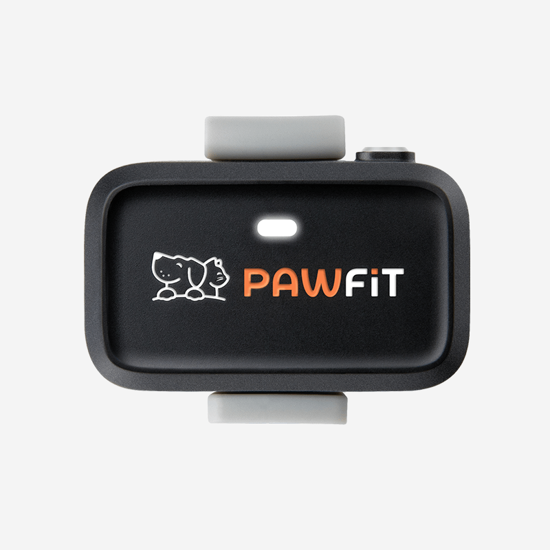 ردیاب GPS سگ GPS سگ ردیاب حیوانات خانگی ردیاب سگ Pawfit Pawfit Lite
