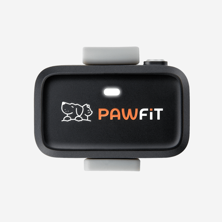 ردیاب GPS سگ GPS سگ ردیاب حیوانات خانگی ردیاب سگ Pawfit Pawfit Lite